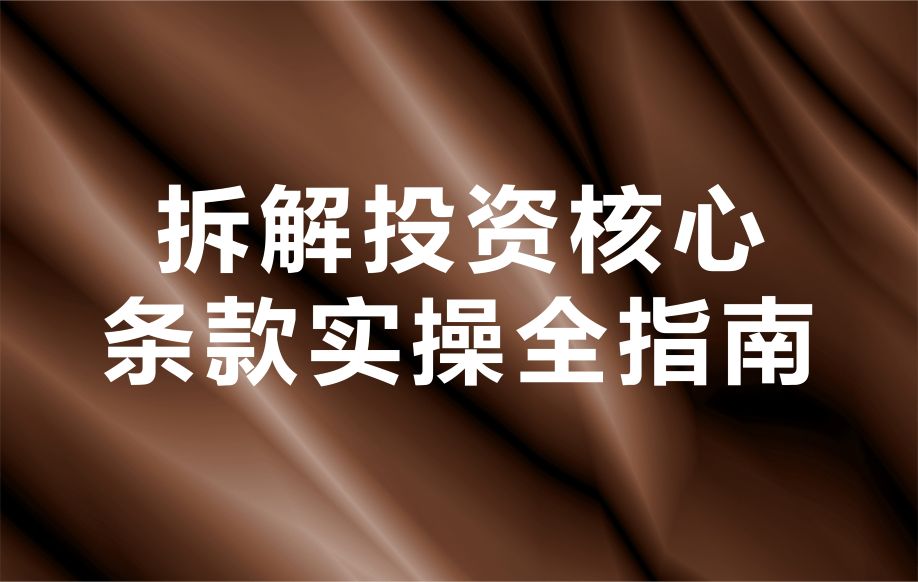 双百专家拆解投资核心条款实操全指南