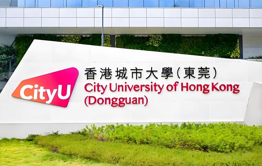 第一届香港城市大学（东莞）“城创杯”创新创业大赛评委 (27).jpg